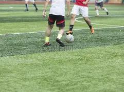 布鲁日俱乐,部对,名种族歧视,MK体育,MK体育官网入口,MK体育官网首页,MK体育官网