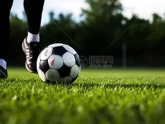 激战正酣,多特狂飙领,先拜仁,MK体育,MK体育官网入口,MK体育官网首页,MK体育官网