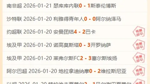 《夜球日志》12月21日：规划行动纪实